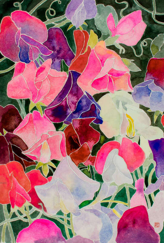 Sweetpea